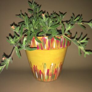 Vibrant Hand Painted 17cm Terracotta Pot