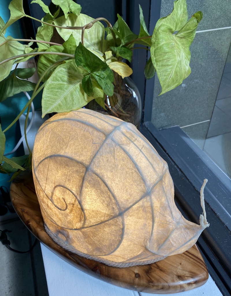 Snail lantern on his own special timber seat! - Image 2