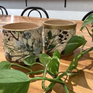 Decoupage planters finished with gilding at Made in Lismore